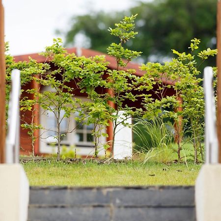 Giltraps Townhouse & Glamping Hotel Kinnitty Bagian luar foto